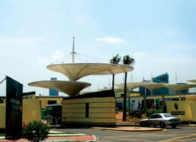 聊城膜结构案例